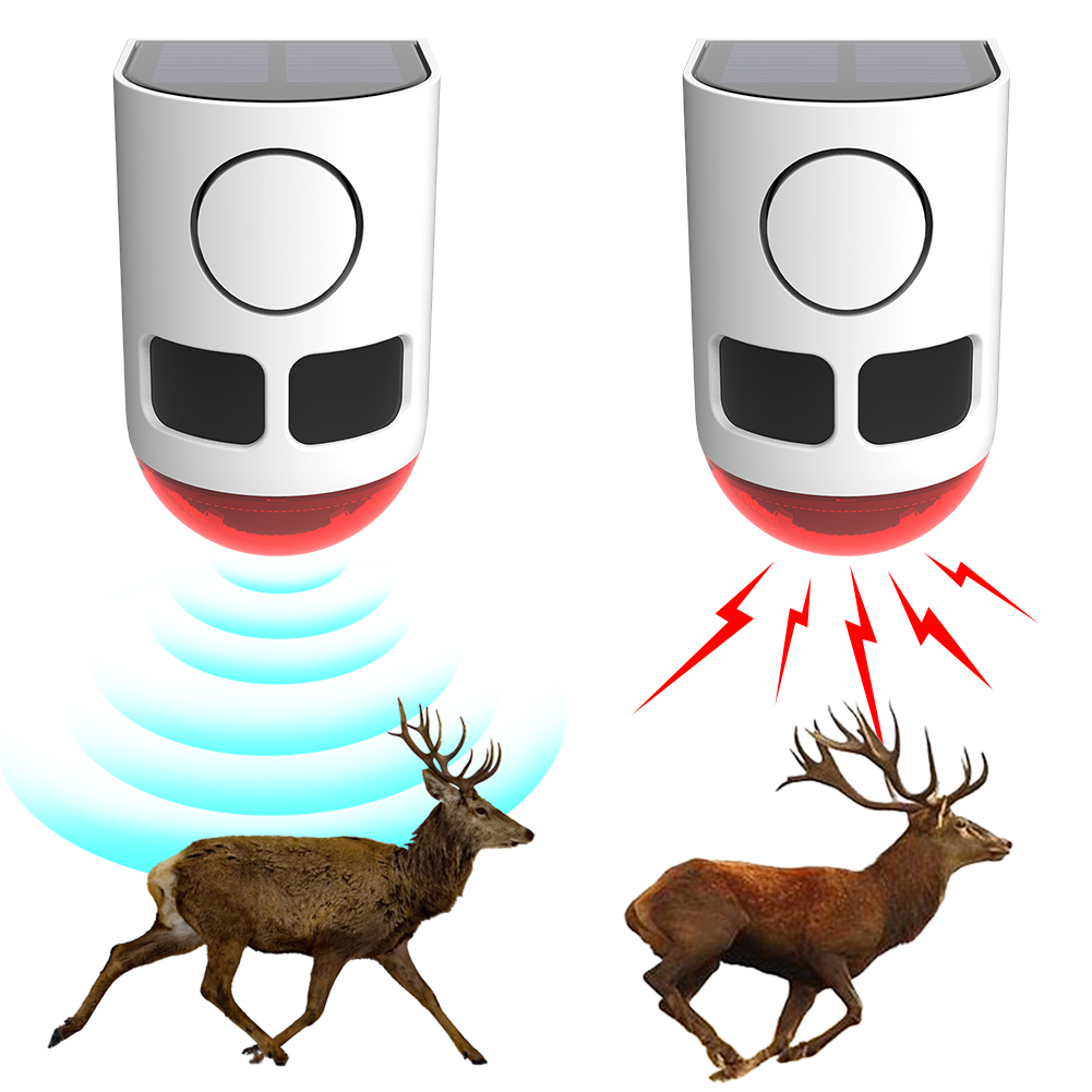 Alarm Sensor Gerak Luar Ruanga - Home Yard Security ulasan dan harga